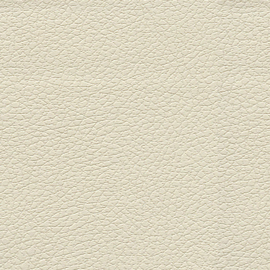 Acquire 303by3019 Brisa Birch by Schumacher Fabric