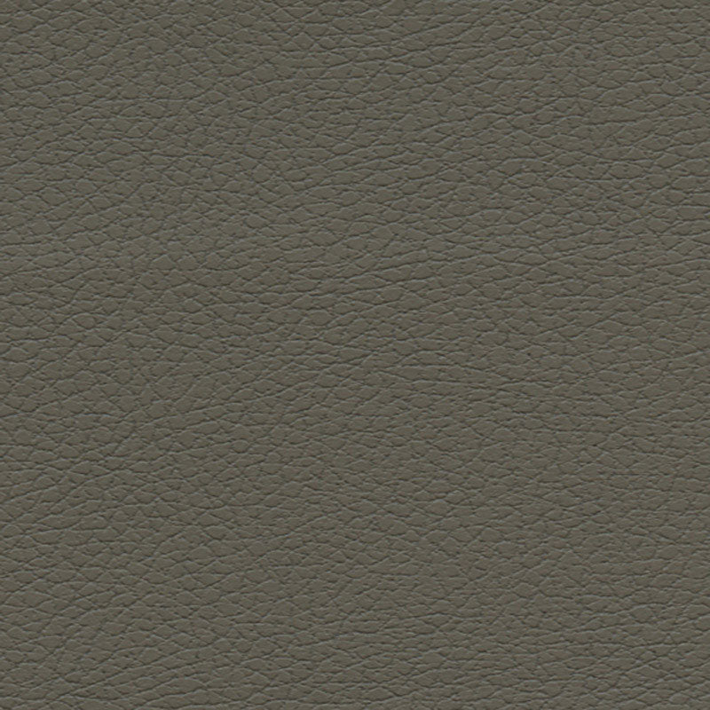 Purchase 303by3022 Brisa Shitake by Schumacher Fabric