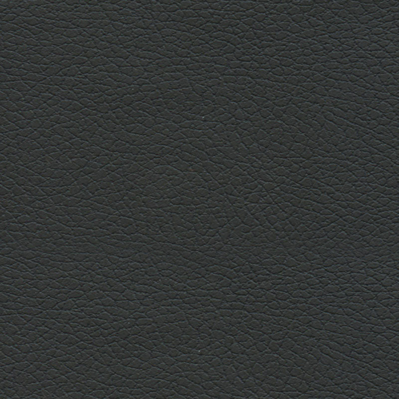 Find 303by5749 Brisa Black Onyx by Schumacher Fabric