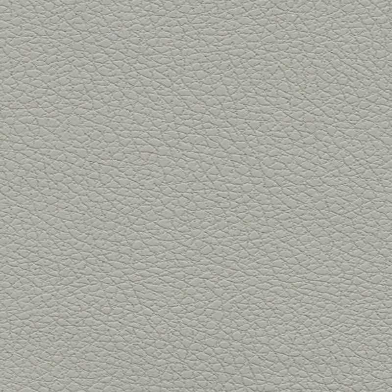 Save 303by5820 Brisa Quicksilver by Schumacher Fabric