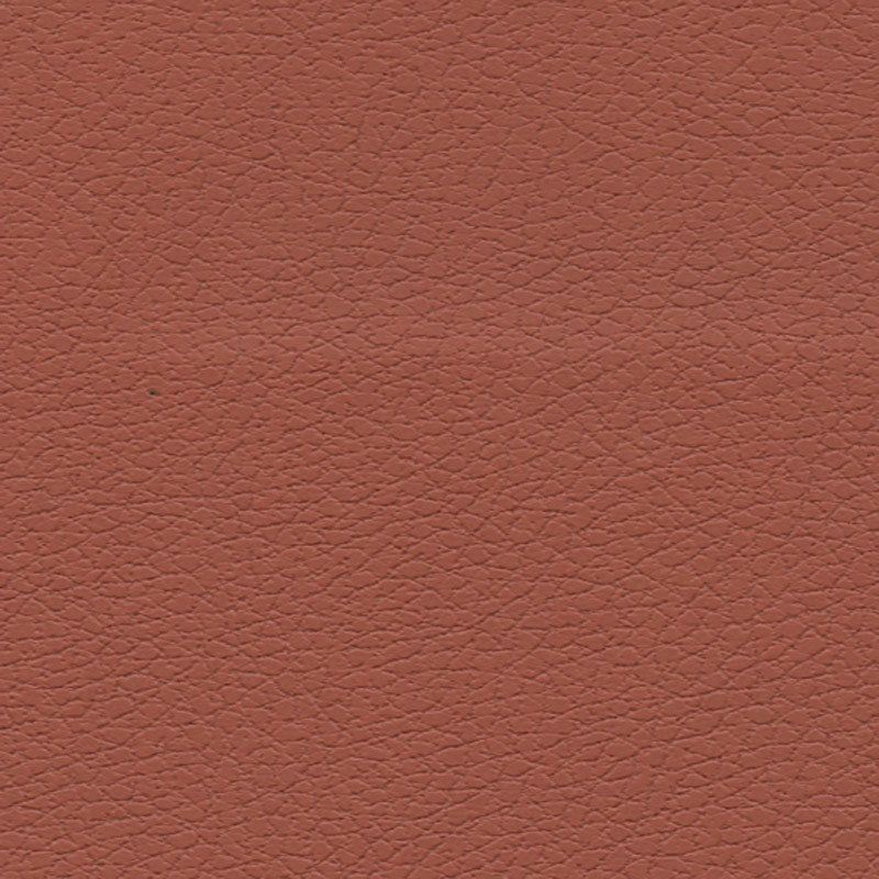 Purchase 303-8245 | Brisa, Cinnabar - Schumacher Fabric