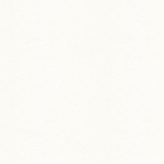Find 30787.1002.0 Ultrasuede Green Cottonball Solids/Plain Cloth White by Kravet Design Fabric