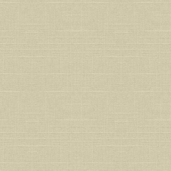 Sample 30808.1 Kravet Basics Fabric