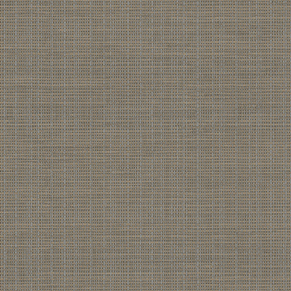 Purchase 3118-016911 Birch and Sparrow, Kent Grasscloth by Chesapeake Wallpaper