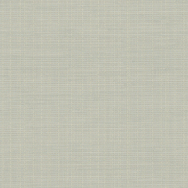 Purchase 3118-016914 Birch and Sparrow, Kent Grasscloth by Chesapeake Wallpaper