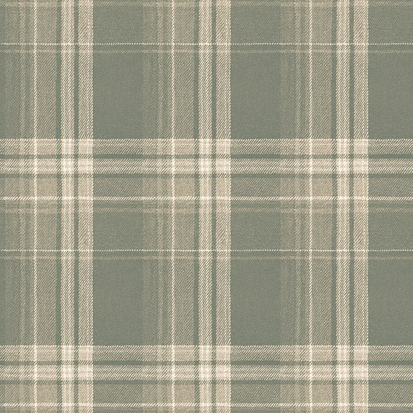 Purchase 3118-12673 Birch and Sparrow, Saranac Flannel by Chesapeake Wallpaper