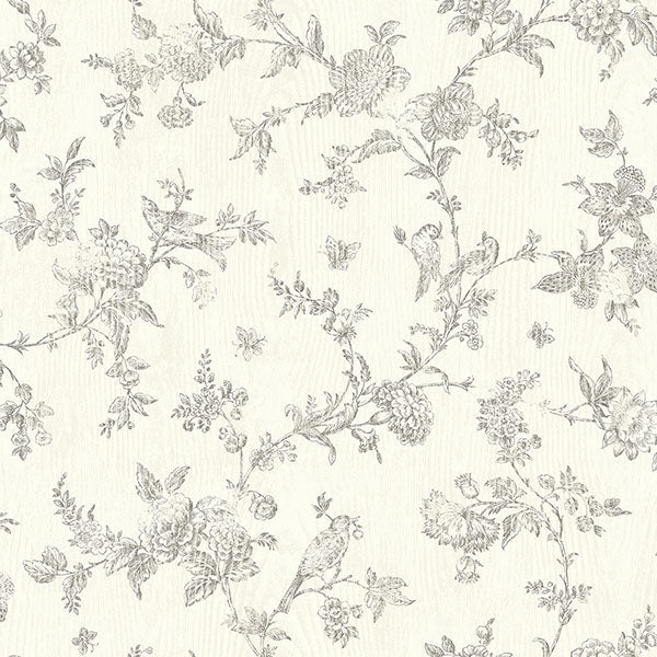 Purchase 3119-02193 Kindred, French Nightingale Taupe Floral Scroll by Chesapeake Wallpaper