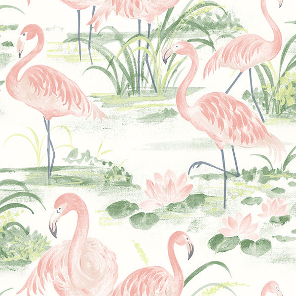 Purchase 3120-13601 Sanibel, Everglades Coral Flamingos by Chesapeake Wallpaper
