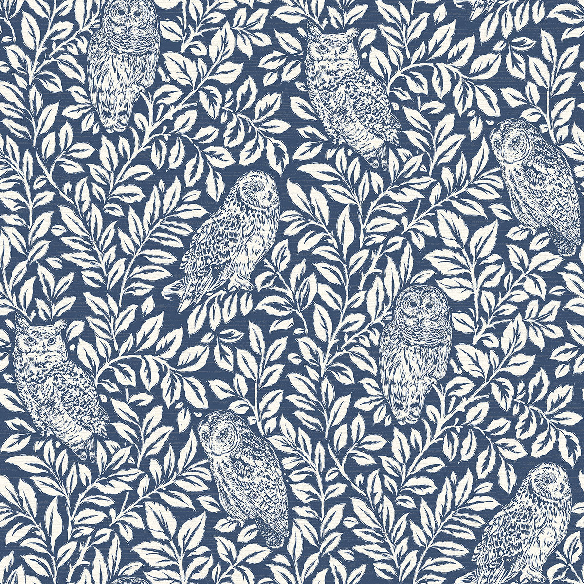 Purchase 3123-12412 Homestead, Parliament Navy Owl by Chesapeake Wallpaper