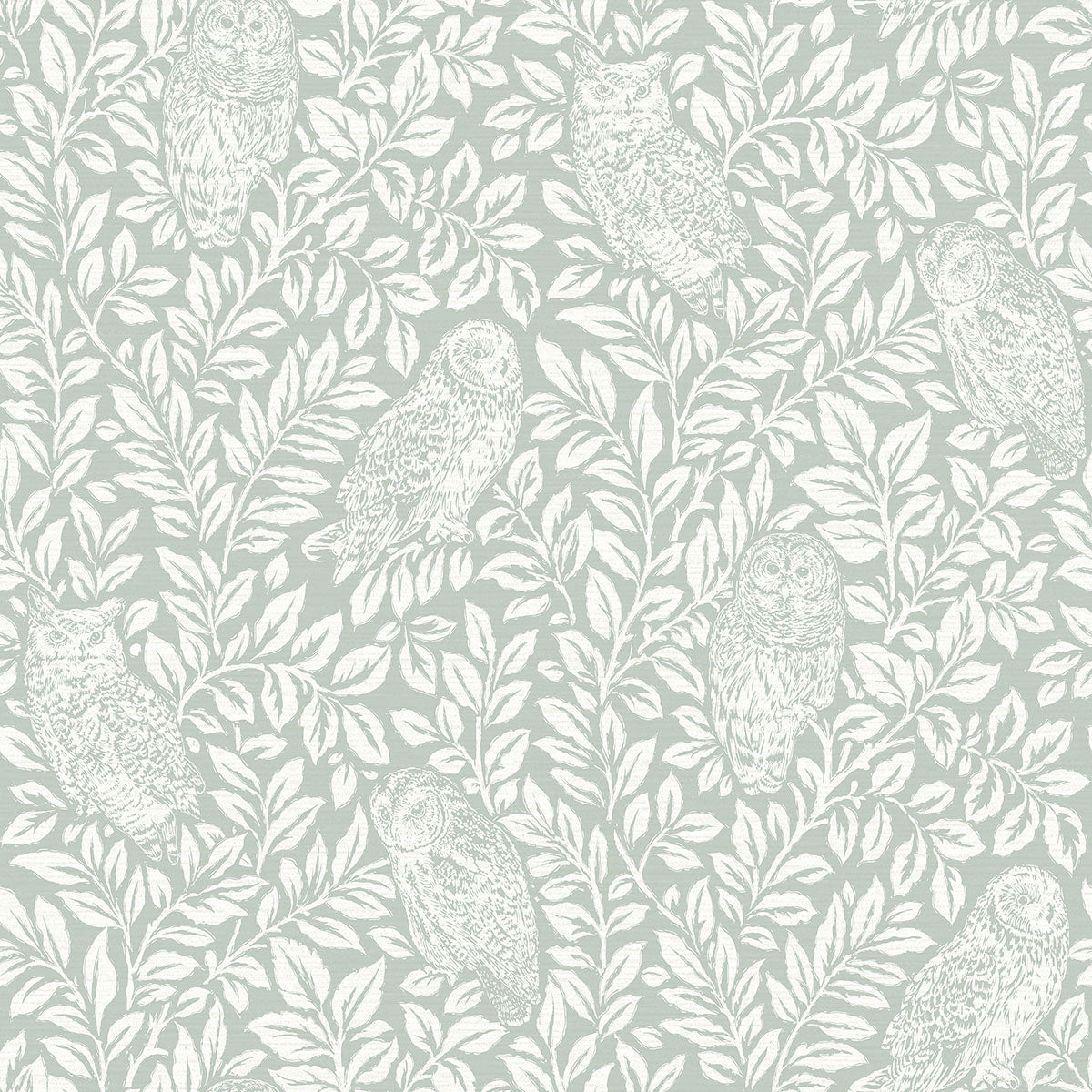 Purchase 3123-12414 Homestead, Parliament Seafoam Owl by Chesapeake Wallpaper
