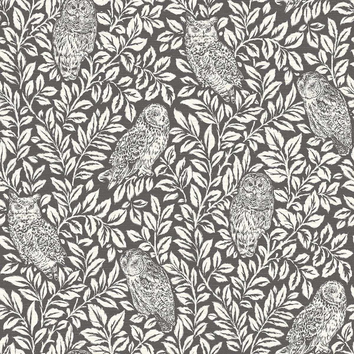 Purchase 3123-12415 Homestead, Parliament Charcoal Owl by Chesapeake Wallpaper