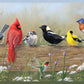 Purchase 3123-44671 Homestead, Flock Multicolor Menagerie Border by Chesapeake Wallpaper