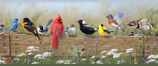 Purchase 3123-44671 Homestead, Flock Multicolor Menagerie Border by Chesapeake Wallpaper