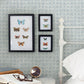 Purchase 3125-72305 Chesapeake Wallpaper, Button Block Blue Geometric - Kinfolk12