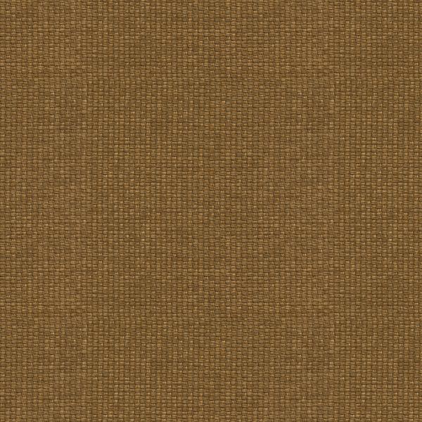 Sample 31803.6 Kravet Design Fabric