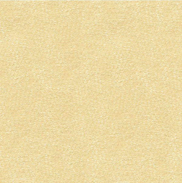 Sample 31871.16.0 Baci, Pearl by Kravet Basics Fabric