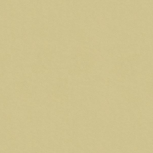 Sample 32565.116 Kravet Smart Fabric