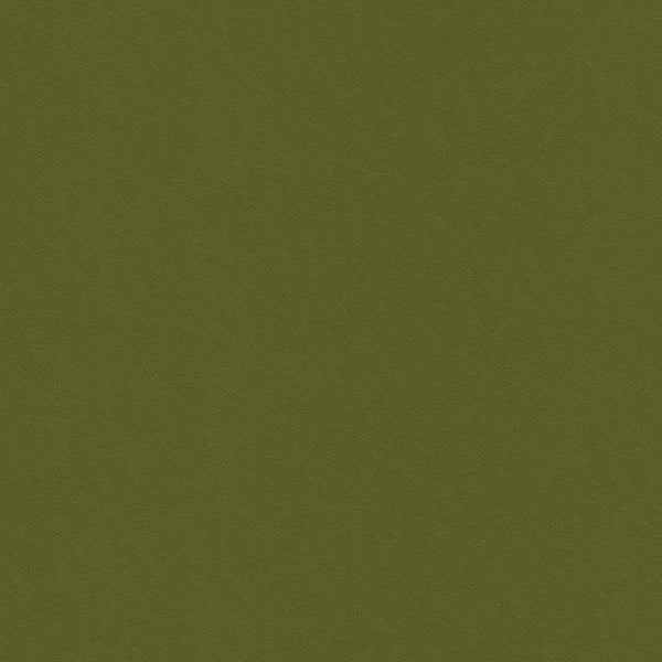 Sample 32565.130.0 Green Upholstery Solids Plain Cloth Fabric by Kravet Smart