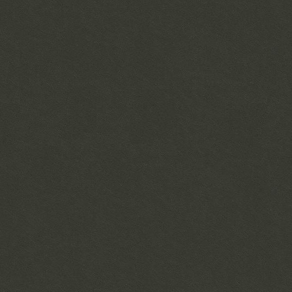 Sample 32565.2111 Kravet Smart Fabric