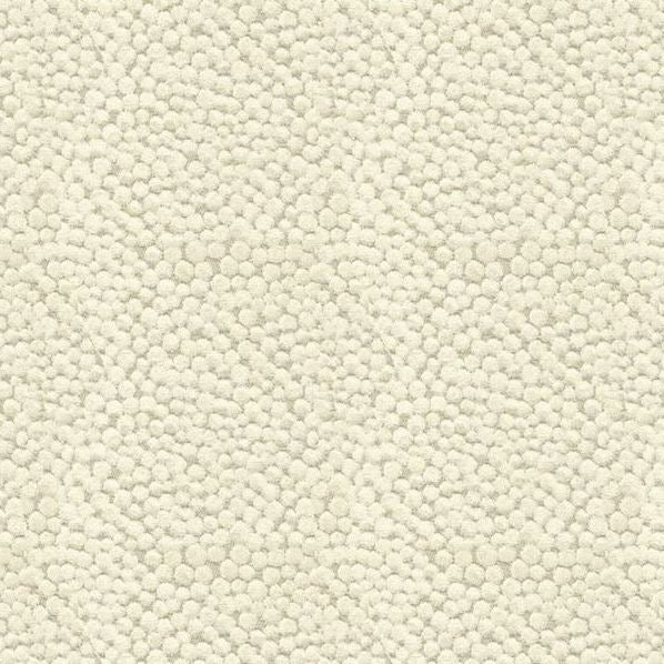 Sample 32972.1116 Kravet Couture Fabric