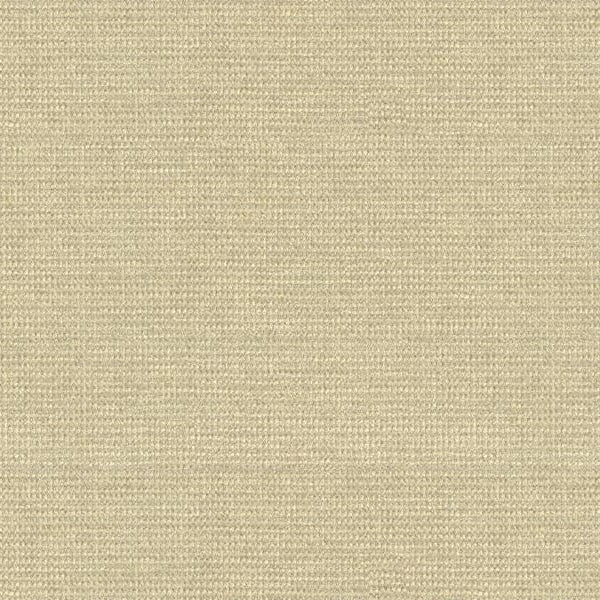 Sample 33027.116 Kravet Smart Fabric
