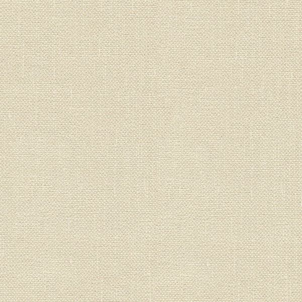 Sample 33120.1116 Kravet Basics Fabric