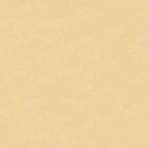 Sample 33127.111 Kravet Couture Fabric