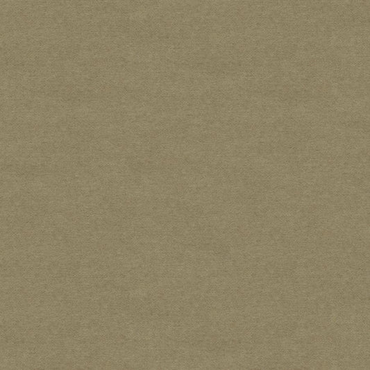 Buy 8013149-11 Chevalier Wool Greige Solid by Brunschwig & Fils Fabric