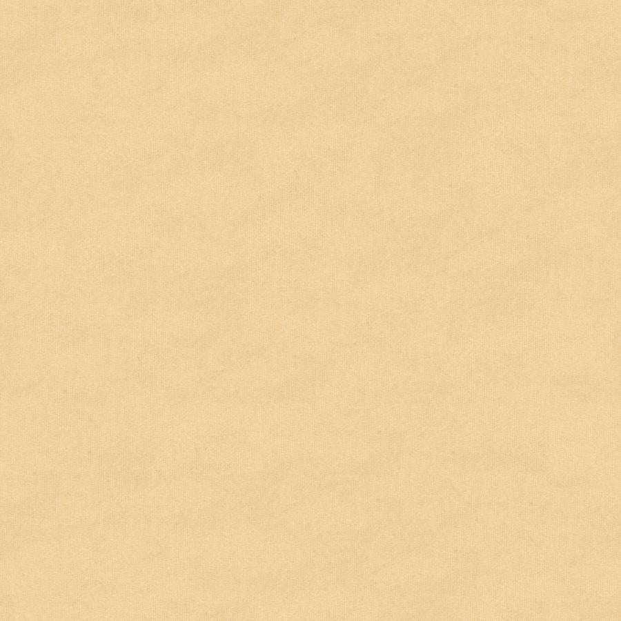 Find 8013149-111 Chevalier Wool Cream Solid by Brunschwig & Fils Fabric