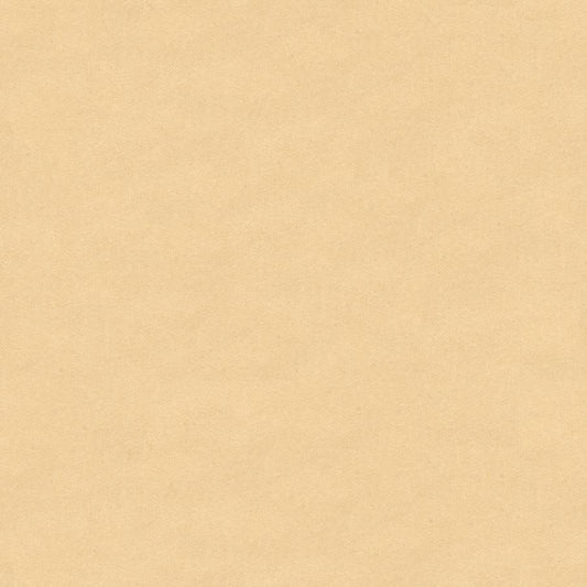 Find 8013149-111 Chevalier Wool Cream Solid by Brunschwig & Fils Fabric