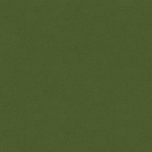 View 8013149-53 Chevalier Wool Forest Solid by Brunschwig & Fils Fabric