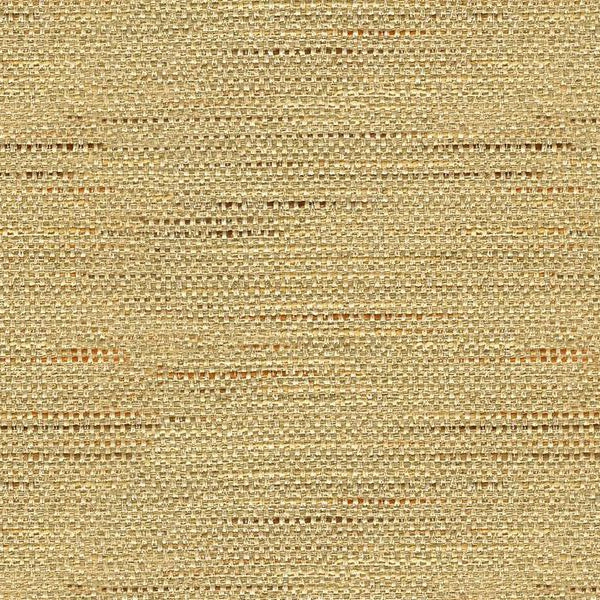 Sample 33135.1611 Kravet Smart Fabric