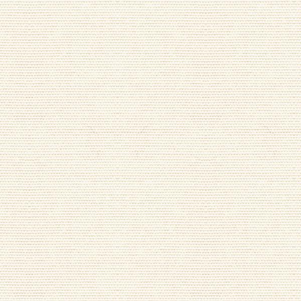 Sample 33496.101.0 Cover Salt White Upholstery Solids Plain Cloth Fabric by Kravet Design