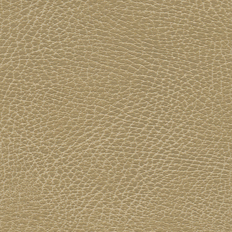Purchase 335by3134 Brisa Distressed Buckskin by Schumacher Fabric