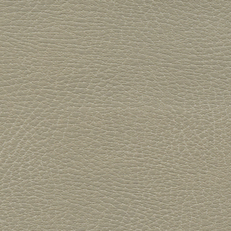 View 335by3869 Brisa Distressed Dune by Schumacher Fabric