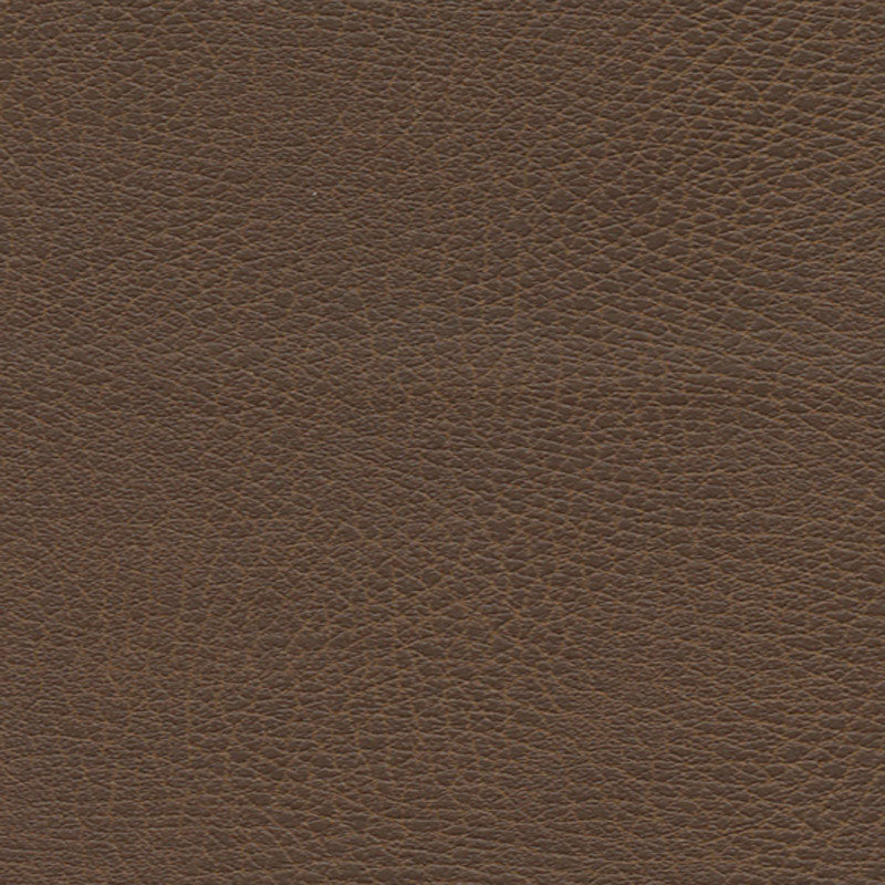 Buy 335by3976 Brisa Distressed Bridle by Schumacher Fabric