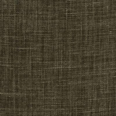 Purchase 37625.66.0 Mendoza Linen, Alfredo Paredes Cocuyo - Kravet Couture Fabric