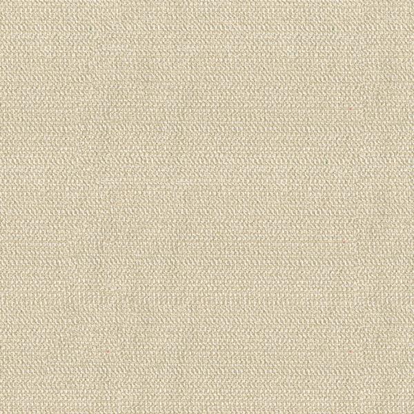 Buy 34049.16.0 Tully Linen Solids/Plain Cloth Beige by Kravet Design Fabric