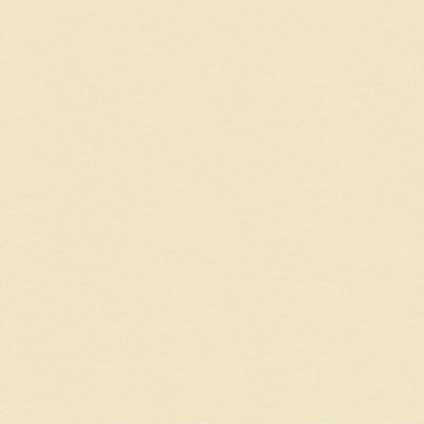 Sample 34121.1001.0 Suede Texture Bisque Ivory Upholstery Solids Plain Cloth Fabric by Kravet Couture