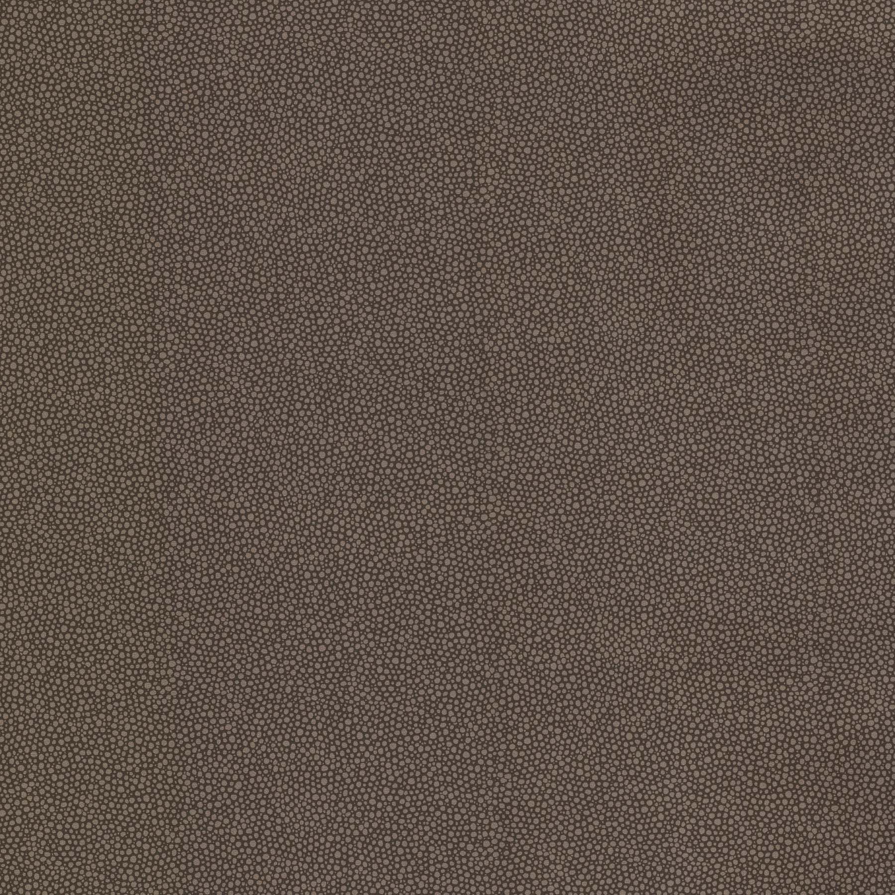 Purchase 347-20025 Kitchen and Bath Resource III Brown Textured Brewster