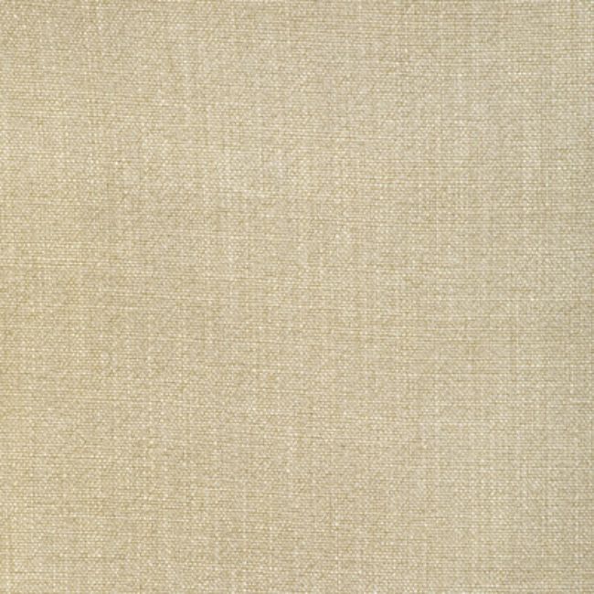 Sample - 35189.116.0 | Kravet Basics,  - Kravet Basics Fabric