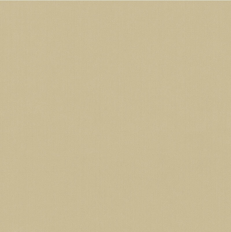 Sample 35916.14.0 Kravet Basics Beige Solid Kravet Basics Fabric