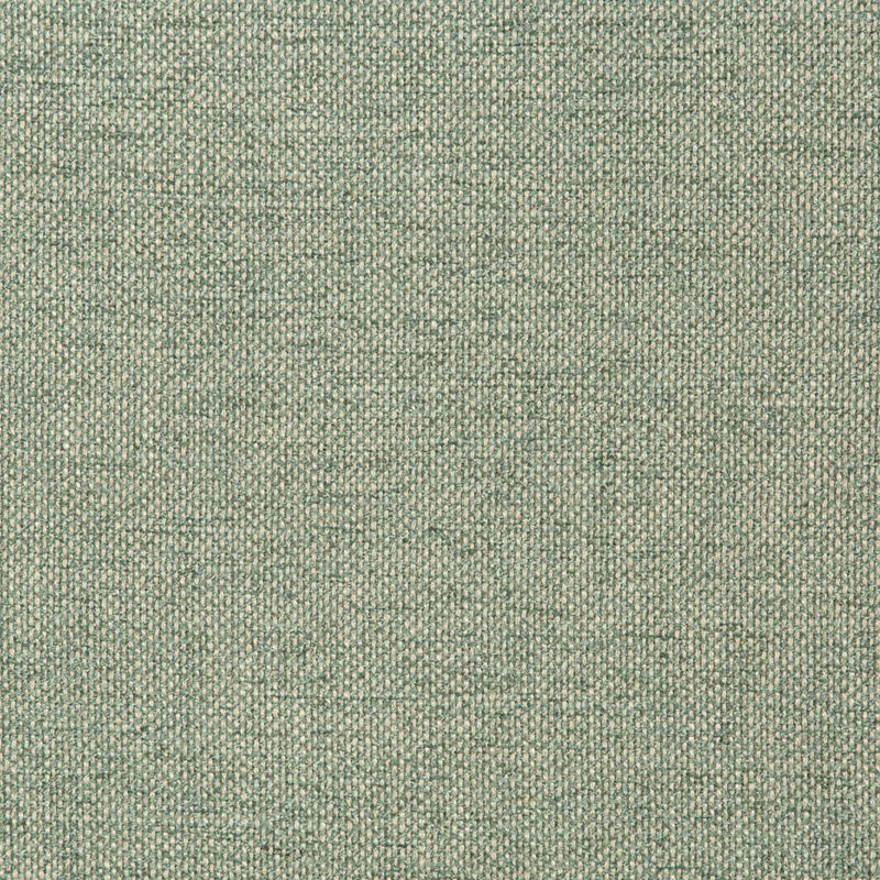 Sample 35989.13.0 Kravet Smart White Solid Kravet Smart Fabric