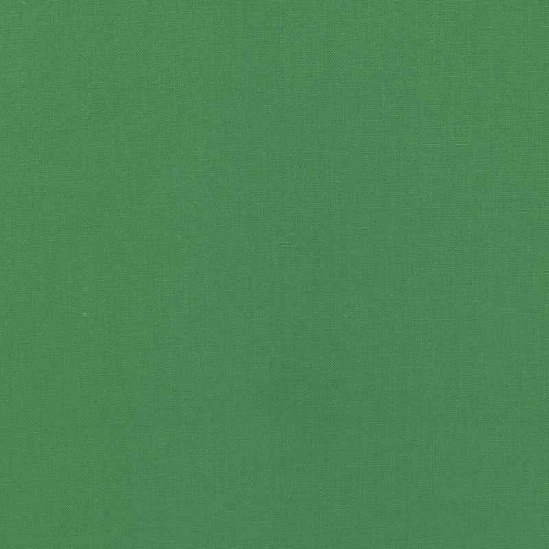 Sample 36055.3.0 KRAVET BASICS, 36055-3 by Kravet Basics Fabric