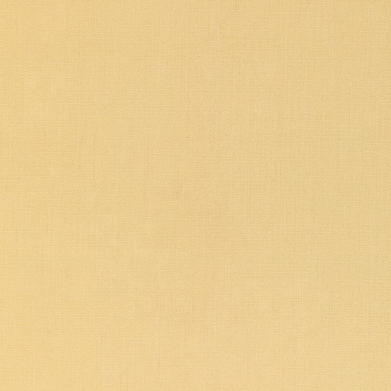 Sample 36055.40.0 KRAVET BASICS, 36055-40 by Kravet Basics Fabric