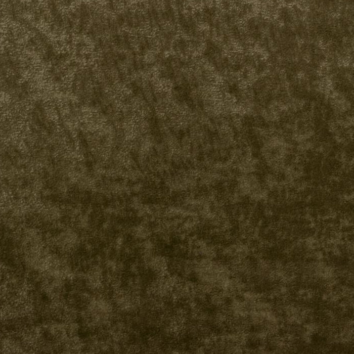 Sample 36065.30.0 TRIUMPHANT, OLIVE by Kravet Couture Fabric