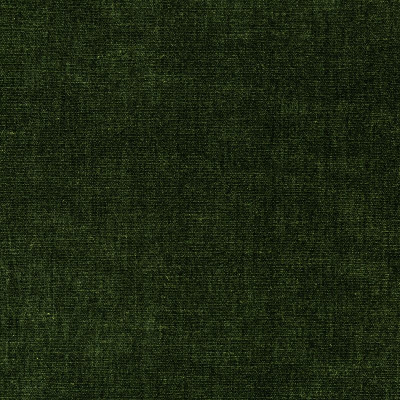 Sample 36076.30.0 Kravet Smart Green Solid Kravet Smart Fabric