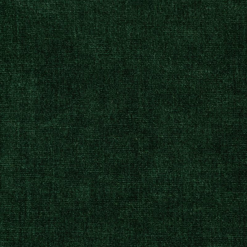 Sample 36076.53.0 Kravet Smart Green Solid Kravet Smart Fabric