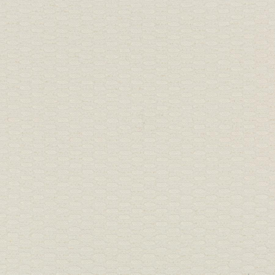 Shop 36078.1.0 KRAVET DESIGN 36078-1 by Kravet Design Fabric