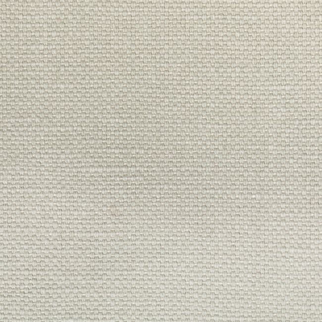 Sample - 36282.11.0 | Carson,  - Kravet Basics Fabric